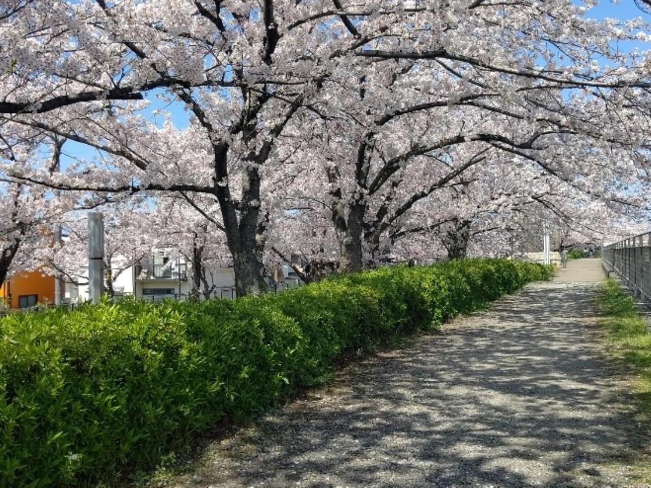 Ref Kansai Airport By Vessel Hotels Izumisano Esterno foto